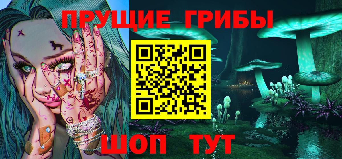 Вятские Поляны  Псилоцибиновые грибы Magic Shrooms  Галлюциногенные грибы Magic Shrooms  Вход с VPN 