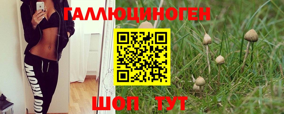 Галлюциногенные грибы Magic Shrooms  хочу   Вятские Поляны 