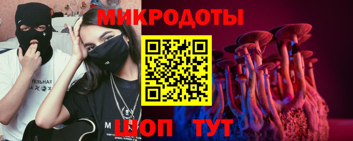 Псилоцибиновые грибы GOLDEN TEACHER Вятские Поляны